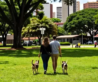 Cuiabá com Pets: Dicas para Organizar Sua Viagem