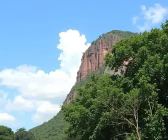 Cuiabá realiza Dia D do Outubro Rosa neste sábado em 72 USFs Dia D Outubro Rosa