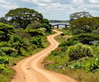 Descubra a Transpantaneira: Aventura de Poconé a Porto Jofre