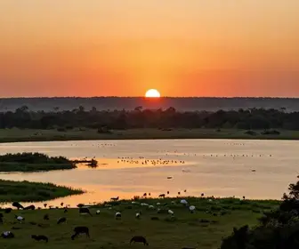 Dicas para Planejar sua Viagem ao Pantanal em Barão de Melgaço Dicas para Planejar sua Viagem ao Pantanal em Barão de Melgaço
